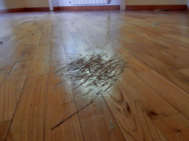 Birch Floor Refinishing in Overland Park, KS